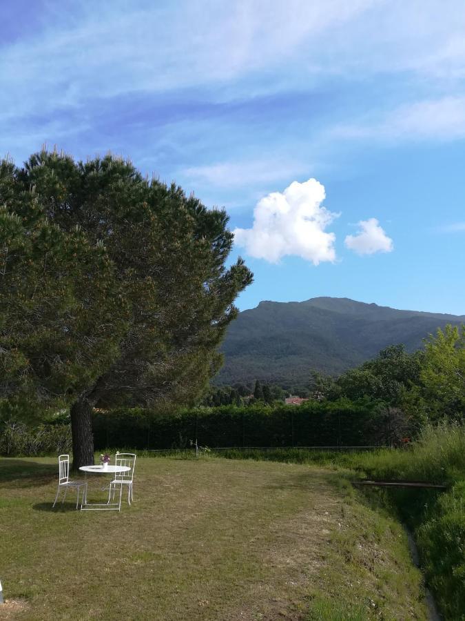 Ferienwohnung Le Quatorze Laroque-des-Albères Exterior foto
